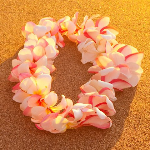 Flower mix lei 
