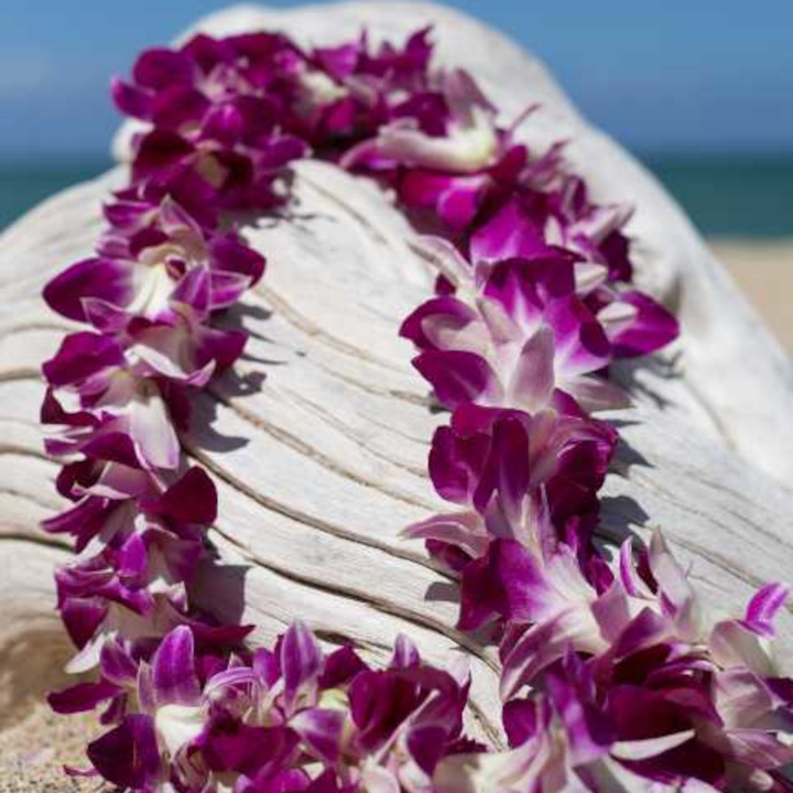 standard orchid flower lei